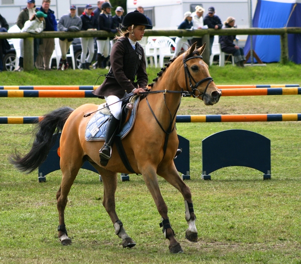 Recycled Turf For Horse Arena Footing